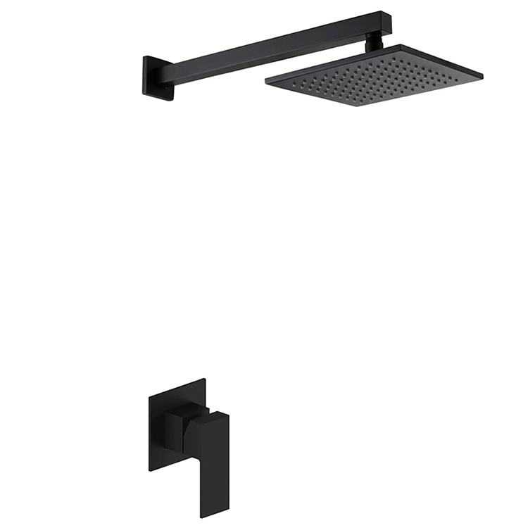 Black Concealed Shower Mixer