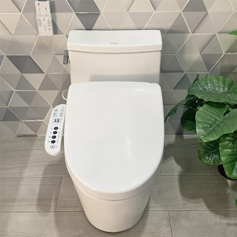 Smart Toilet Seat