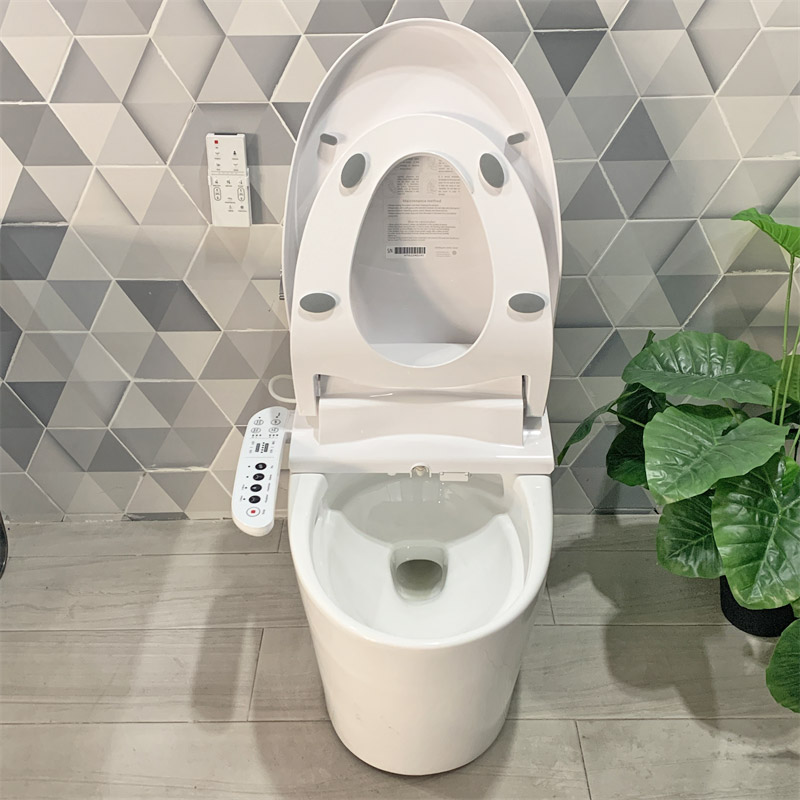 Smart Toilet Seat