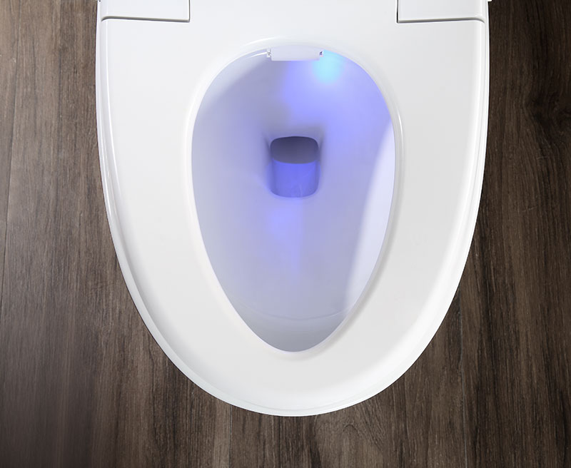 Remote control intelligent toilet