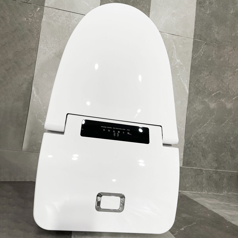 Household intelligent toilet