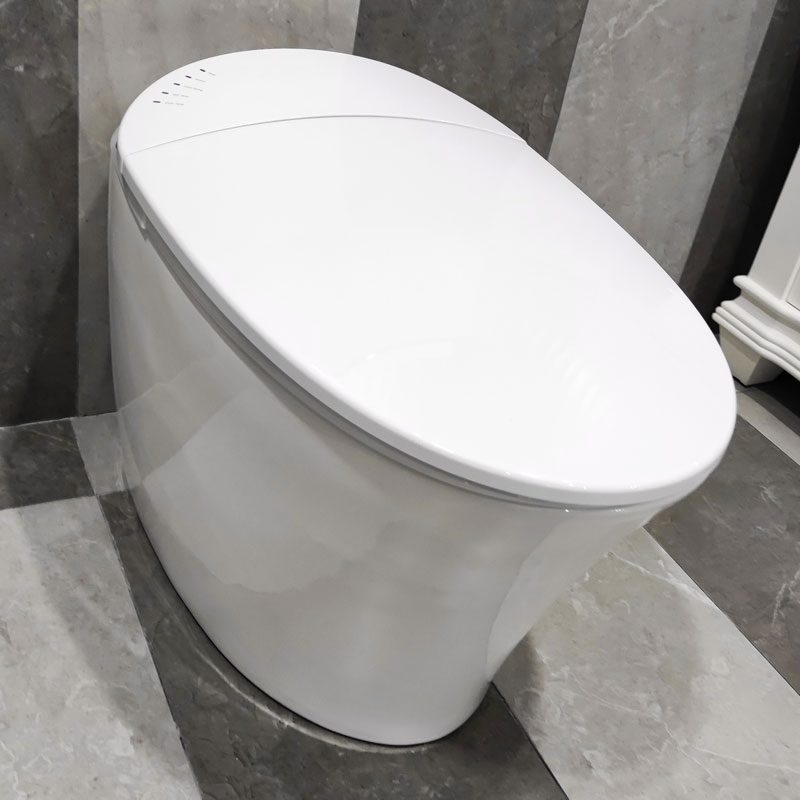 Remote control intelligent toilet