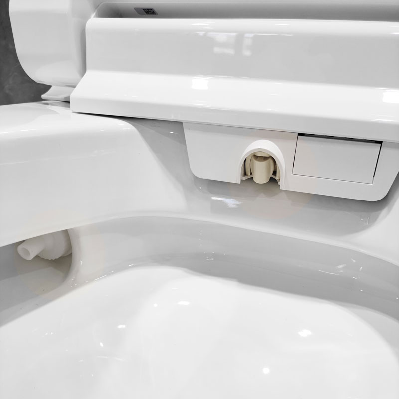 Bathroom electric intelligent toilet