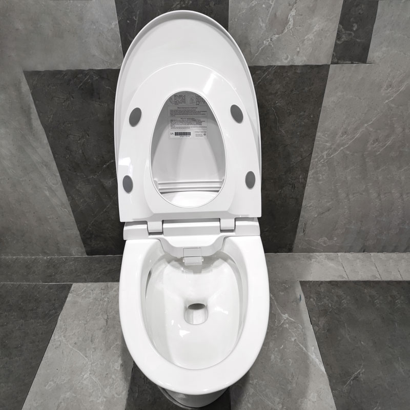 Remote control intelligent toilet