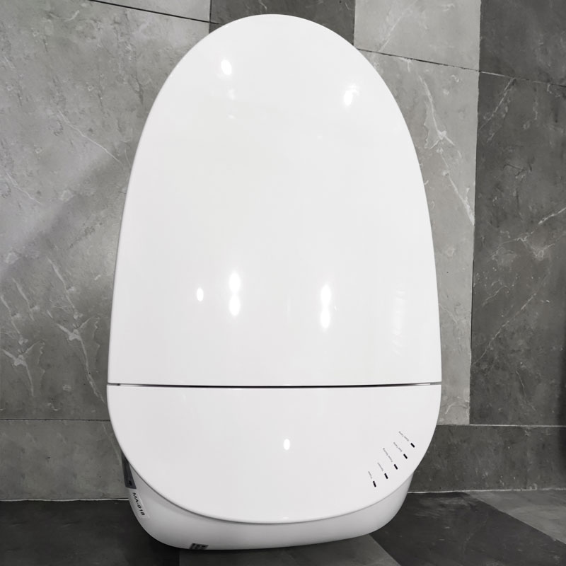 Remote control intelligent toilet