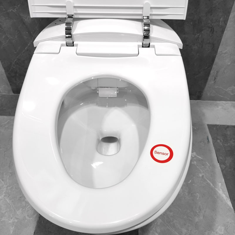 Remote control intelligent toilet