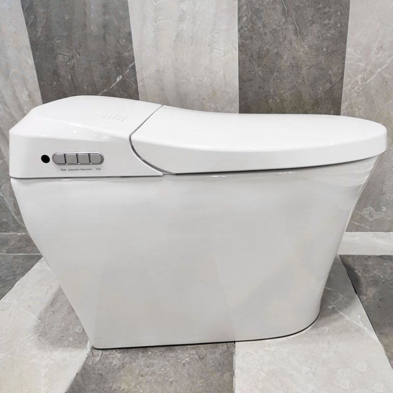 All in one ​smart toilet