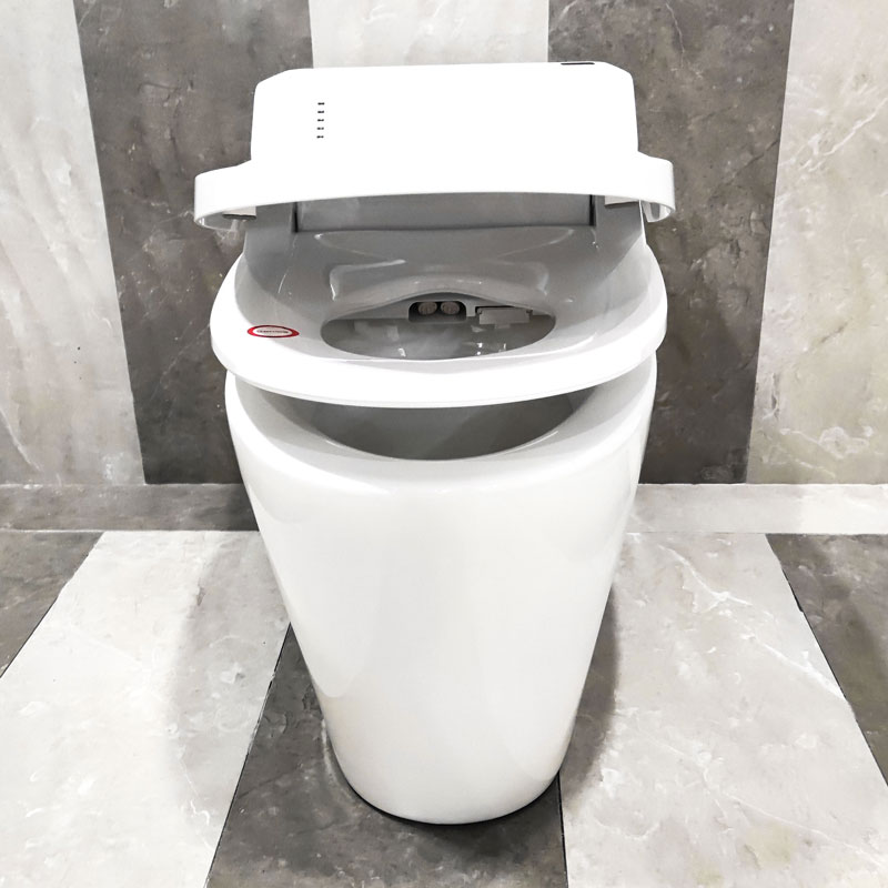 Intelligent bathroom smart toilet