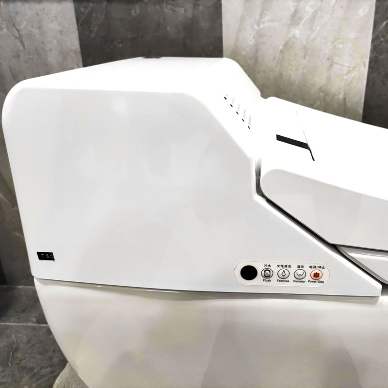 Intelligent bathroom smart toilet