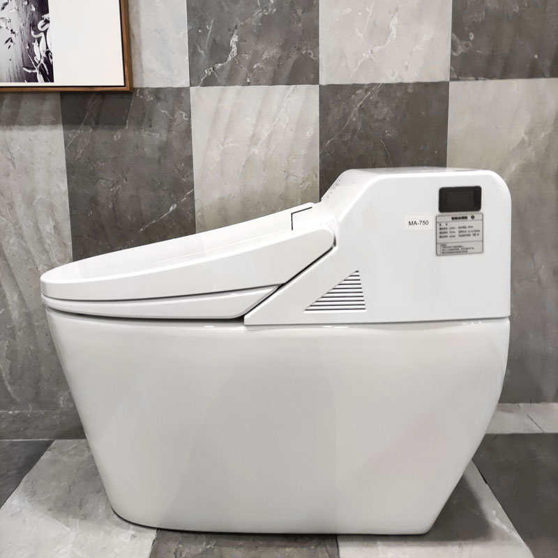 Intelligent bathroom smart toilet