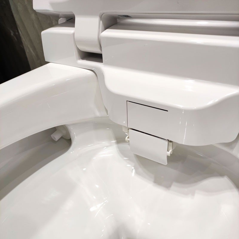 Auto flush smart toilet