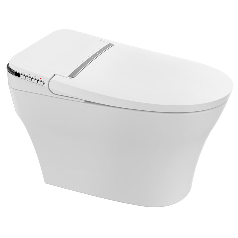 Prodigy tankless smart toilet 