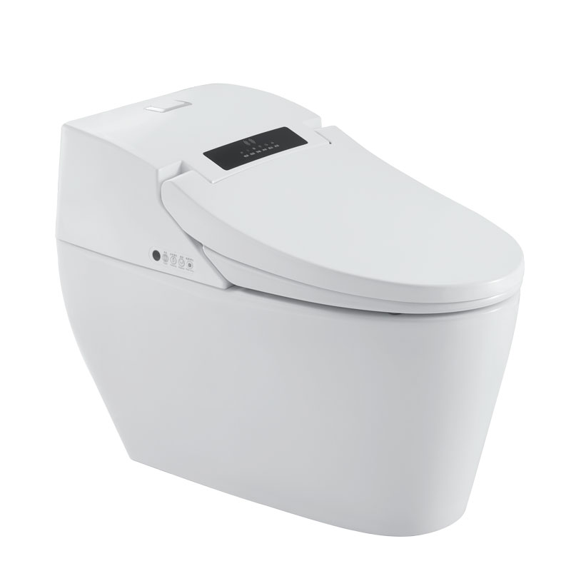 Household intelligent toilet