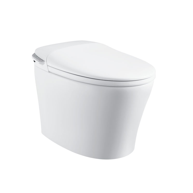 Best tankless smart toilet