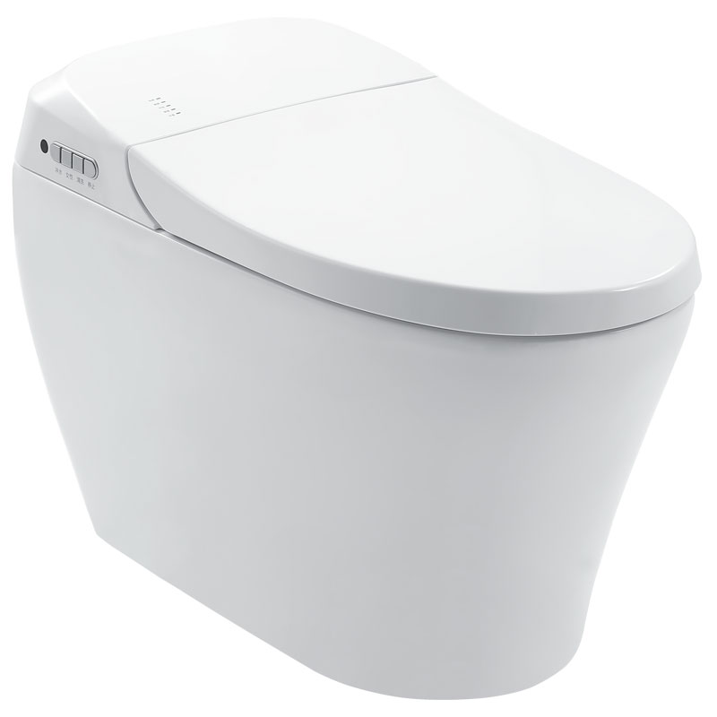 All in one ​smart toilet