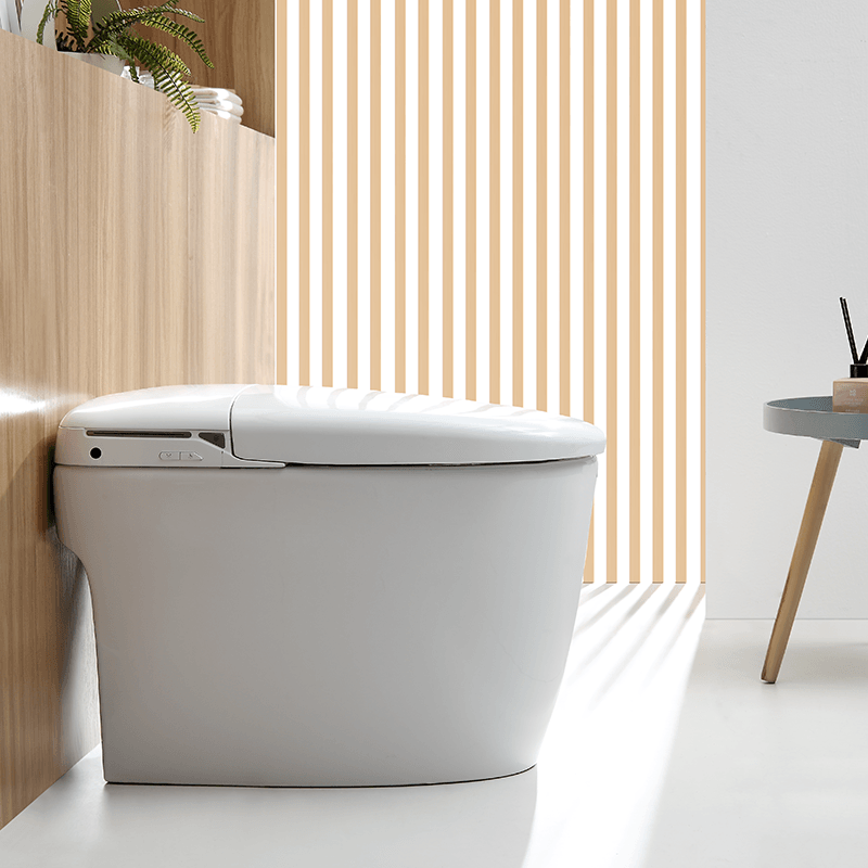 Smart Washlet Toilet