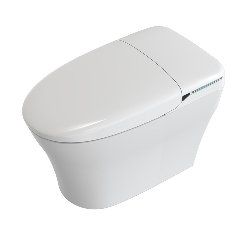 Smart Washlet Toilet