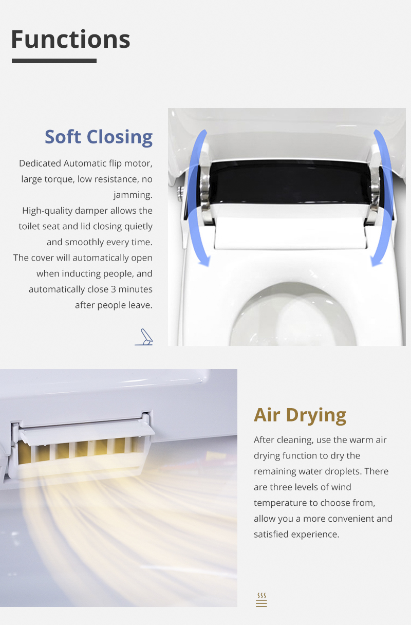 Automatic Flush Toilet details