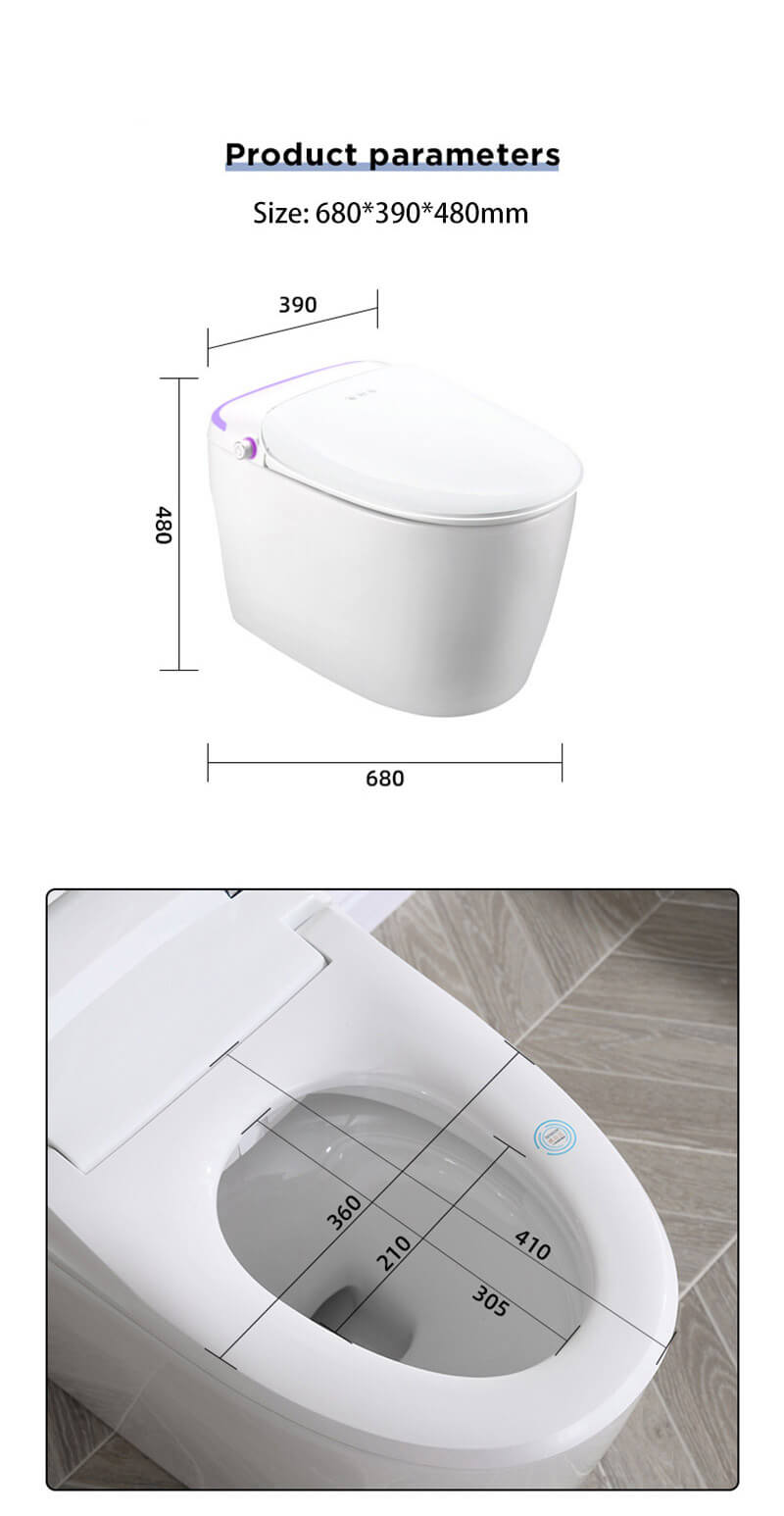 smart toilet bidet