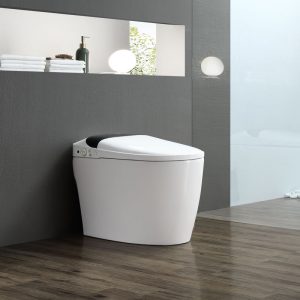 Smart Bidet Toilet Seat Modern Bathroom Prodigy Elongated Smart Remote Control Toilet Bowl
