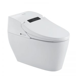 Household intelligent toilet best wc remote control smart bidet seat