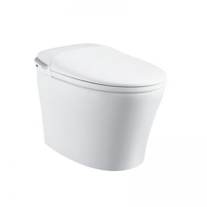 Best Tankless Smart Toilet For Sales Freestanding Toilet With Bidet