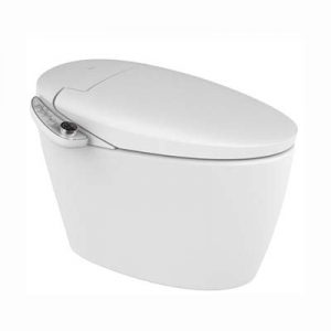 Electronic Intelligent Bidet Sanitary Ware Top Manufacturer Smart Toilet