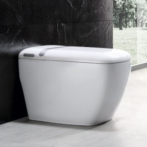 Smart Bidet Toilet Seat Handfree Square Electrical Tankless All-in-One Combo Bidet and Intelligent Toilet