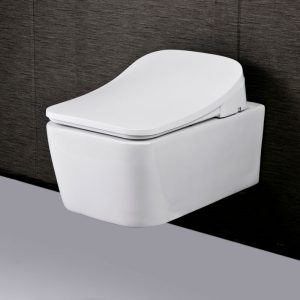 Wall Hung Commode One Piece Dual Flush Toilet with Advance Smart Washlet Bidet  AK-6801H