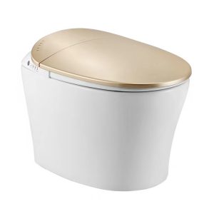 Golden Toilet Smart One Piece Toilet Remote Control Heated Seat Tankless Bidet Toilet  MA-918