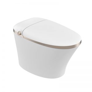 Automatic Flush Toilet Touchless Tankless Smart Bidet Toilet Dual Flush  MA-919D