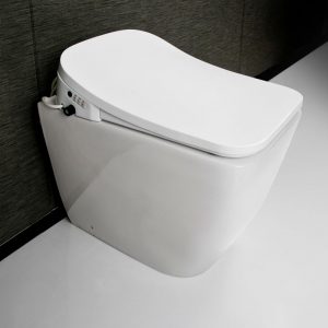 Smart Commode Toilet Advanced Bidet Seat Self-Sanitizing Electric Wc Toilet Seats AK-6801G