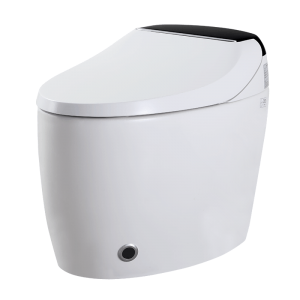 Smart Wc Modern Bathroom Free-Standing Cheap Rimless Smart Electric Toilet Bidet  M603-DS