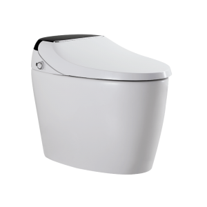 Washlet Toilet Instant Heat Electronic Auto Flush Toilet Seat Smart Bidet Intelligent Toilet  M803-DS